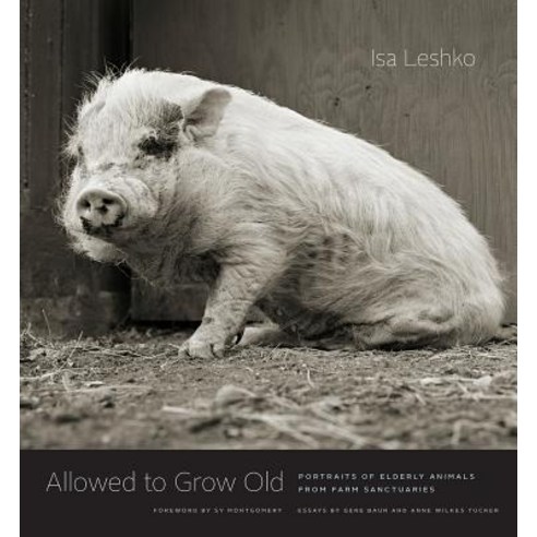 Allowed to Grow Old Portraits of Elderly Animals from Farm Sanctuaries, University of Chicago Press
