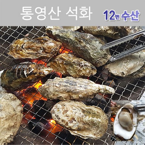 통영12번수산 통영 석화(각굴) [구이용 찜용], 10KG, 1box