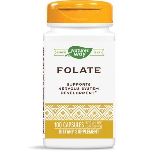 네이쳐스웨이 엽산 Folate 엽산800 mcg, 100정, 1개