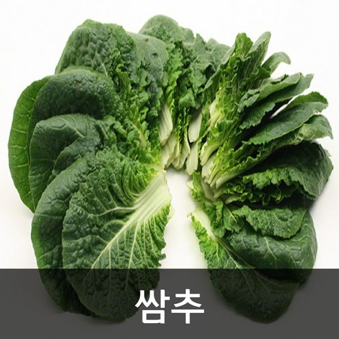 약수농장 국내산 쌈추 2kg, 1박스