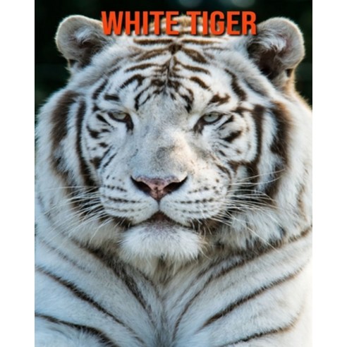 White Tiger: Fun Learning Facts About White Tiger Paperback, Independently Published, English, 9798558482447