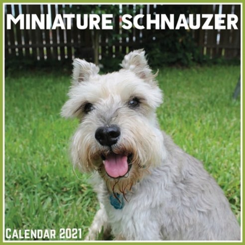 Miniature Schnauzer Calendar 2021: Official Miniature Schnauzer Calendar 2021 12 Months Paperback, Independently Published, English, 9798706877095