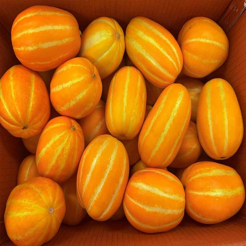 농부곳간 고당도 정품 성주 꿀 참외, 참외 대과 2kg ..., 1개 - 참외 | 쿠팡