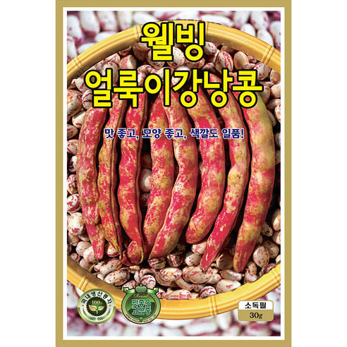 콩 씨앗 모음 종자 땅콩 완두 작두 강낭콩 팥 서리태 백태 동부 녹두 적수수 율무 메밀, 2개