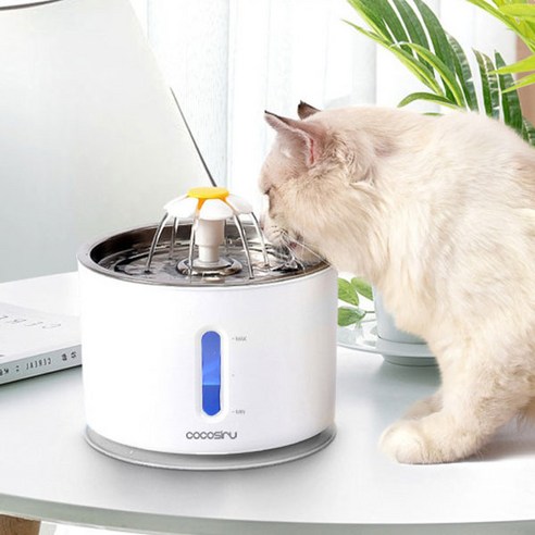 狗淨水器貓淨水器伴侶動物淨水器寵物淨水器寵物淨水器伴侶寵物用品小狗貓兩用狗狗波菲伴侶狗寵物狗河老鼠 寵物 貓 貓 小貓 小貓 澆水 狗貓 狗 貓