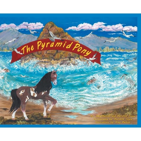 The Pyramid Pony Hardcover, Page Publishing, Inc