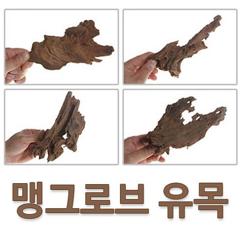 맹그로브 유목 '소' (13~18CM), 1개