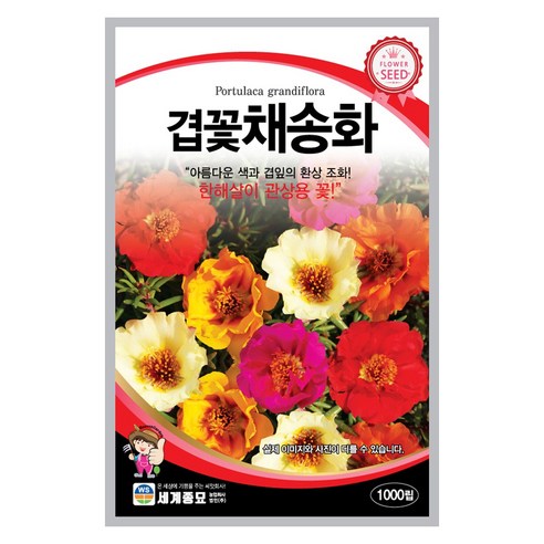 겹꽃채송화 씨앗 1000립 꽃씨앗 세계종묘 모칸도, 10개