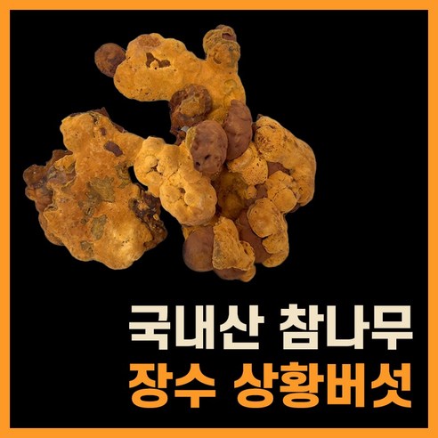 상황버섯 차 진액 국내산 100% 프리미엄 장수상황버섯 절편 당뇨에좋은, 250g, 2개 - 상황버섯 | 쿠팡