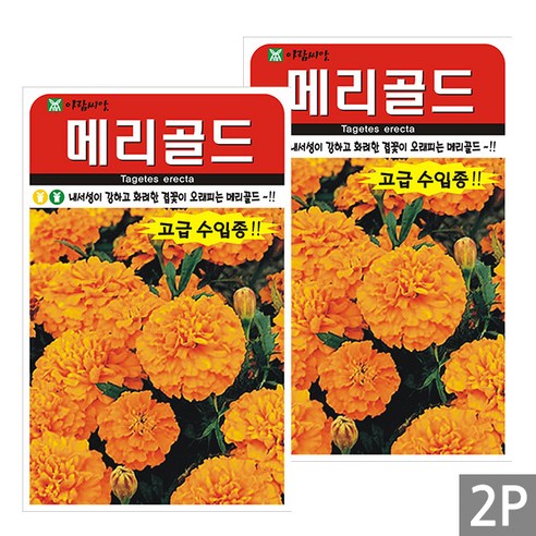 세인화분 메리골드 오렌지 20립 - 꽃 씨 씨앗, 2개