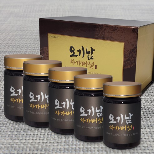 오기남 프리미엄 차가버섯추출분말 500g, 5개, 100g 차가버섯 효능