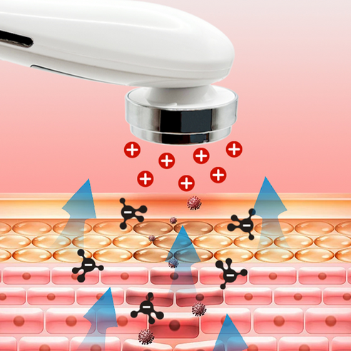 빛나는 피부를 위한 홈 뷰티 솔루션, ERAN스타 갈바닉 마사지기