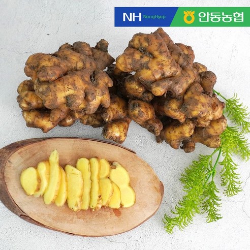 [안동농협] 향긋한 흙 생강10kg, 1개