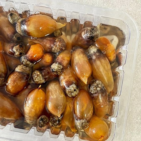 신선한 통영미더덕의 맛과 편리함을 즐기는 당일채취 손질깐 통영미더덕