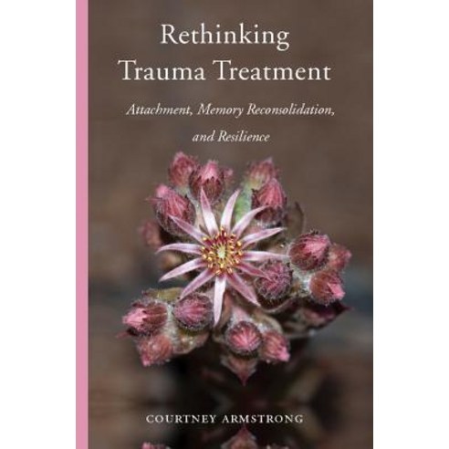 Rethinking Trauma Treatment: Attachment Memory Reconsolidation and Resilience Hardcover, W. W. Norton & Company