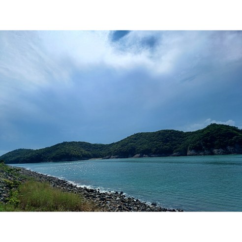 싱싱하고 맛있는 일등농수산의 고흥 활새우로 건강하고 맛있는 식사를 즐기세요.