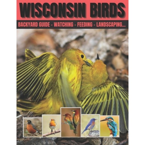(영문도서) Wisconsin Birds: Backyard Guide - Watching - Feeding - Landscaping... Paperback, Independently Published, English, 9798508390563