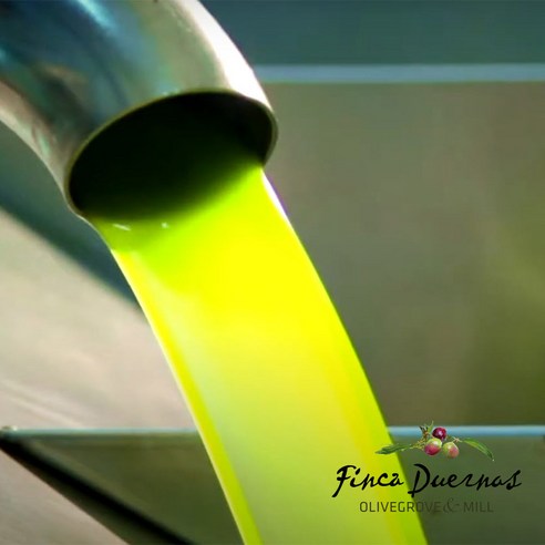 지중해의 햇살을 담은 황금빛, 핀카듀에나스 유기농 아르베퀴나 올리브오일