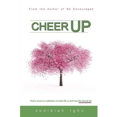 (영문도서) Cheer up. It''s Not Over: Only Your Faith in God Can Help You. Paperback, Independently Published, English, 9798358733343