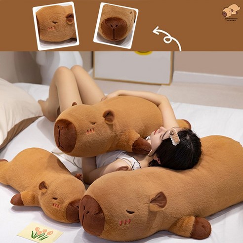 포근함과 힐링을 선사하는 록신 카피바라 바디필로우