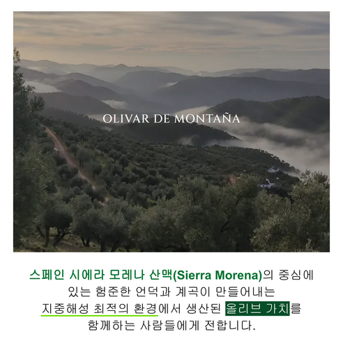 건강과 맛의 완벽한 조화: 올리발레 유기농 엑스트라버진 올리브오일