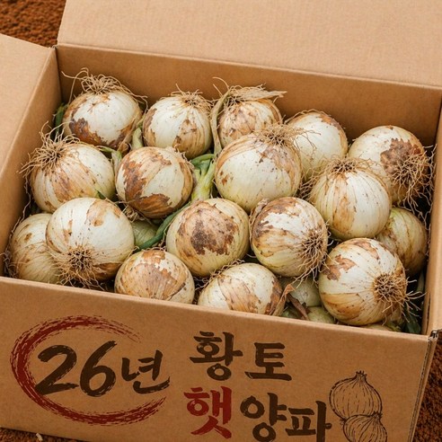 26년 국내산 아삭하고 단단한 무안 햇양파