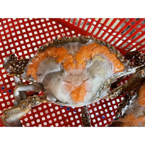연평도 봄 암꽃게와 가을 숫꽃게, 신선함과 맛을 그대로 전하는 생물 급냉 상품