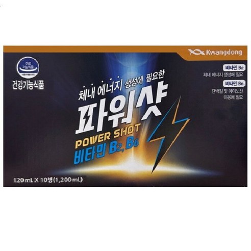 광동생활건강 광동제약 파워샷 10병 120ml