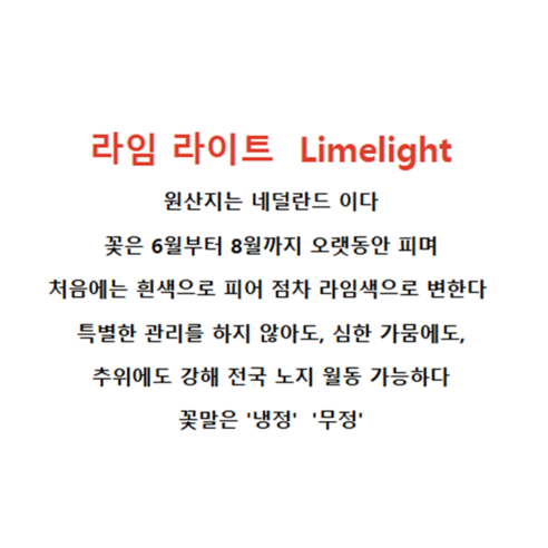 정원의 숨결, 유럽목수국 라임라이트와 함께