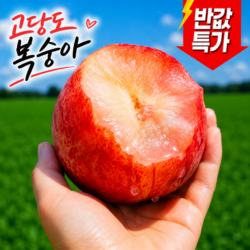 [한정반값특가]하루딱30개만 산지직송선별 꿀당도과즙 복숭아