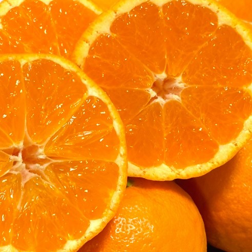 천상의 맛, 극Brix 제주 카라향으로 일상에 특별함을 더하다