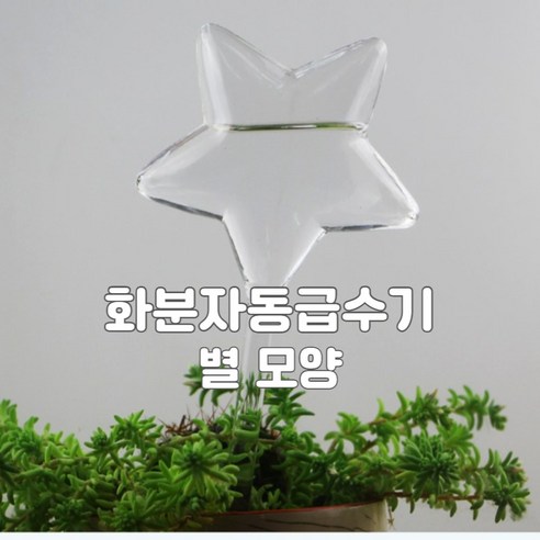 와이재재 화분자동급수기 별모양 200ml, 3개