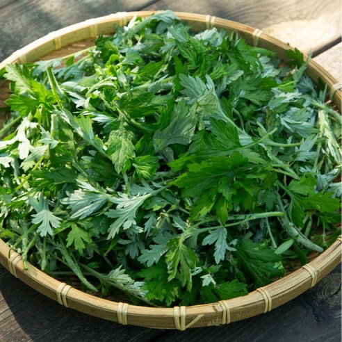 [산지직송] 나물투데이 참쑥 쑥 무농약인증, 1개, 2kg