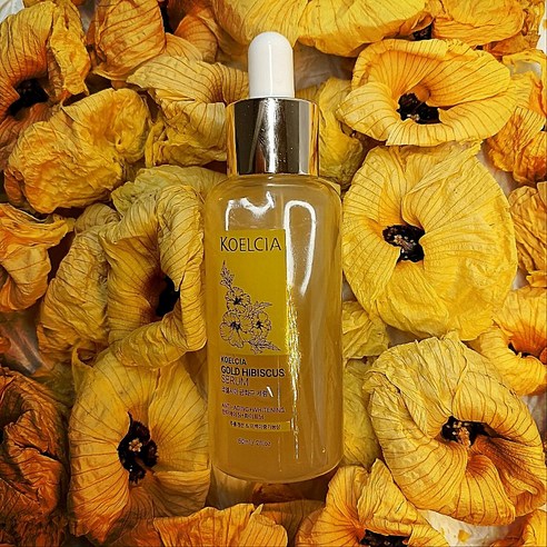 코엘시아 금화규 세럼 주름개선 과 미백 이중 기능성 홤금 해바라기 세럼 크리스마스 선물, 1개, 60ml
