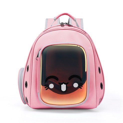 휴대용 고양이 가방 애완 동물 배낭 어깨 투명 배낭, 레이저 분말