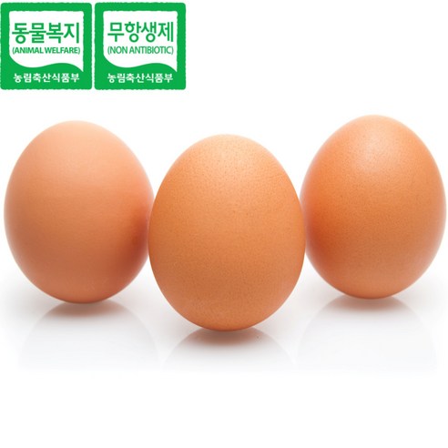 난각번호1번: 자연이 선사하는 신선하고 건강한 프리미엄 계란
