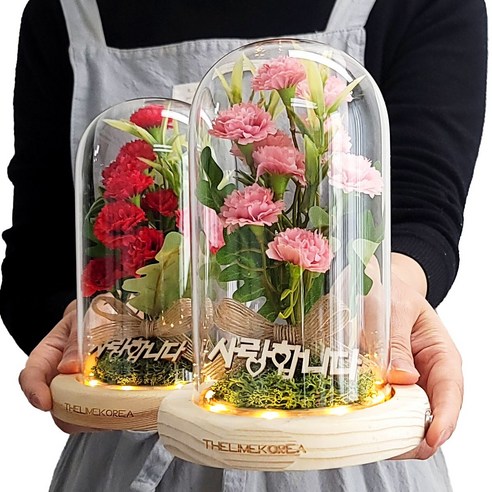 감사의 마음을 담은 빛, 더라임코리아 카네이션 무드등