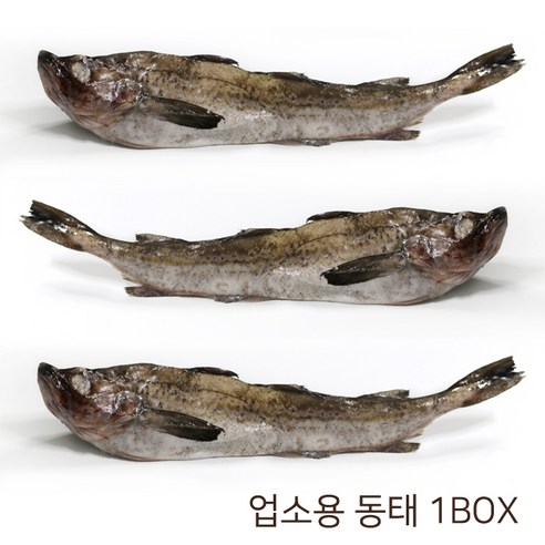 동태 21.5kg전후, 6통 21.5kg전후(24마리), 1박스