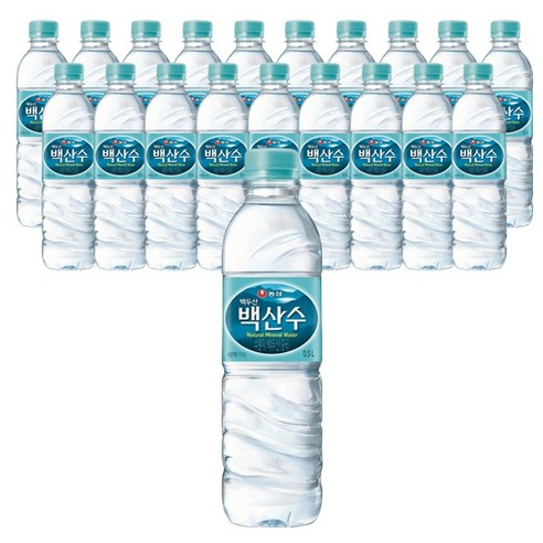 백산수 500ml 20개