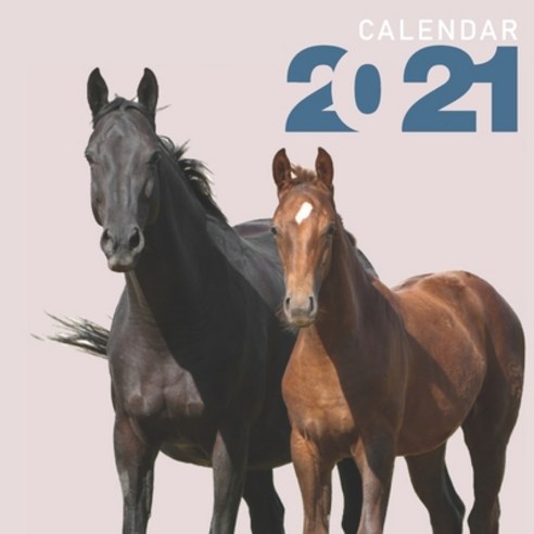 Calendar 2021: Special Horses 2021 12 Month Calendar Paperback, Independently Published, English, 9798698711483