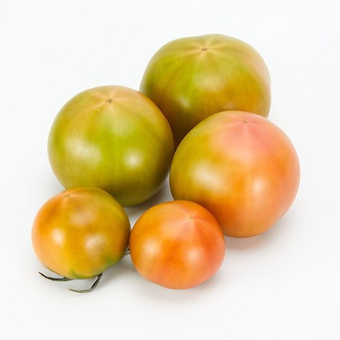 대저 토마토 (가정용) 2.5kg/S-L(랜덤출하)