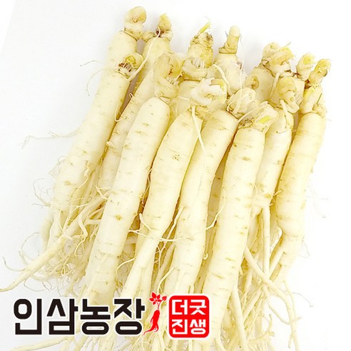 인삼 수삼 금산인삼 세척 원수삼 더굿진생, 1개, 세척인삼450g(14~16뿌리)