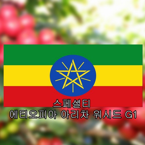 카페자메르 에티오피아 예가체프 G1 아리차 워시드 스페셜티 싱글오리진 원두 커피