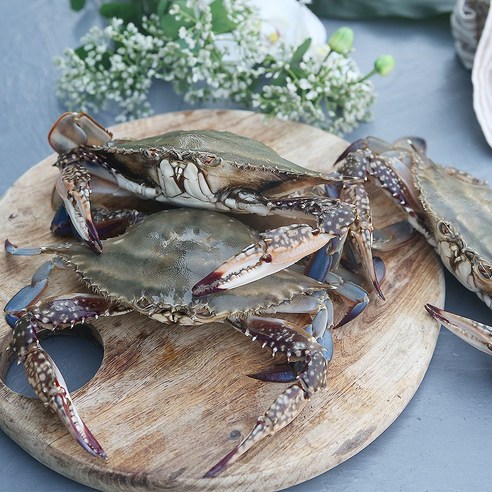 더꽃게 활꽃게로 온 가족 행복 만찬!