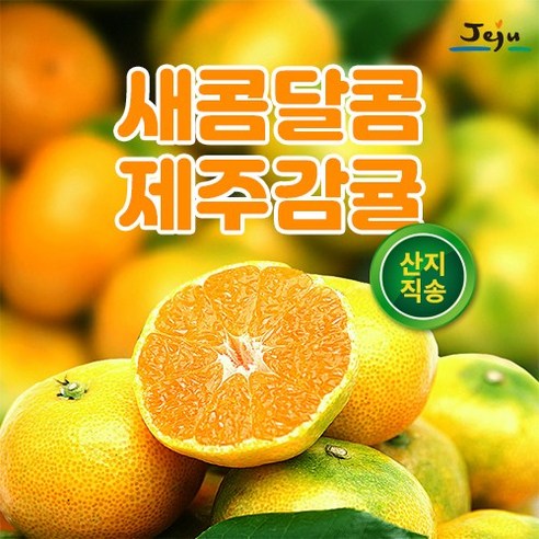 제주 고당도 인증 당도보장 농장 직송 서귀포 하우스 노지 귤 감귤 제주감귤 밀감 3KG 5kg 10KG, 3개