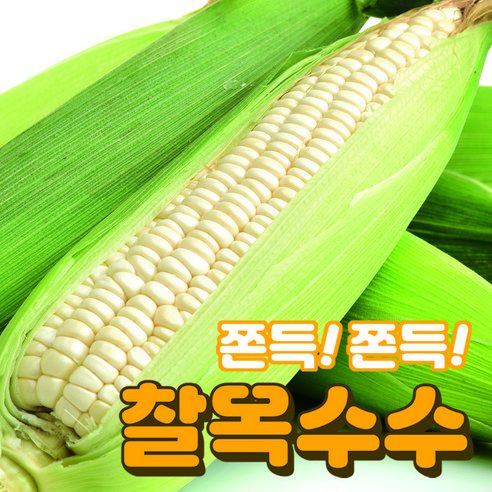 미백 찰옥수수 2024년 햇 미백찰옥수수 당도보장 특품 옥수수 국내산옥수수, 1박스, 대사이즈(15cm이상) 10개 Best Top5 12 찰지고 맛있는 국산 미백 찰옥수수 햇 옥수수 특품 5개 10개 15개