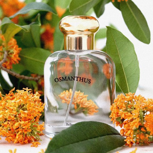 당신의 하루를 특별하게 만들어 줄 오스만투스 향수