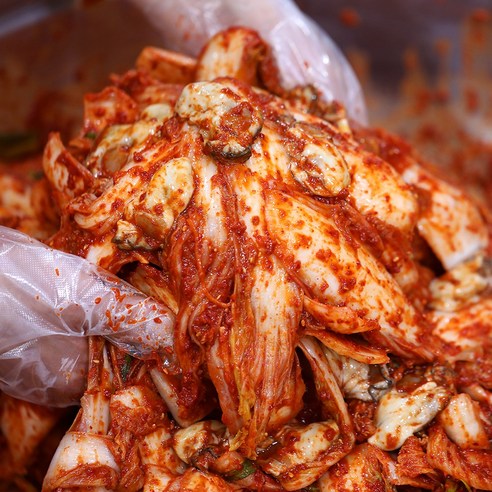 셰프애찬의 맛있는 생 굴 알배기 겉절이 김치: 감각을 사로잡는 바다의 풍미