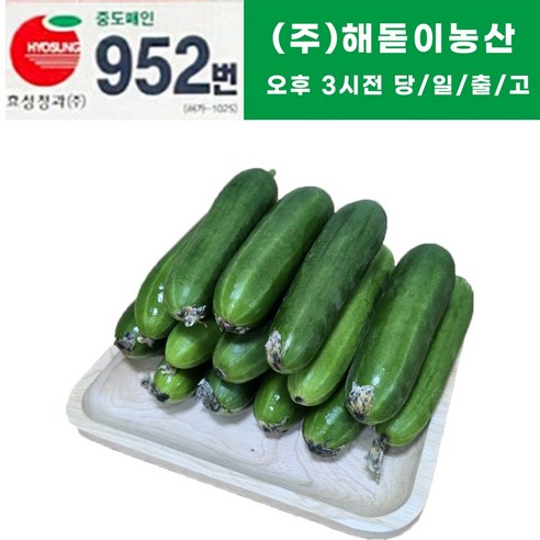 해돋이농산 미니오이 꼬마오이 스낵오이 1kg 2kg 3kg 4kg, 1개, 2팩(1kg)