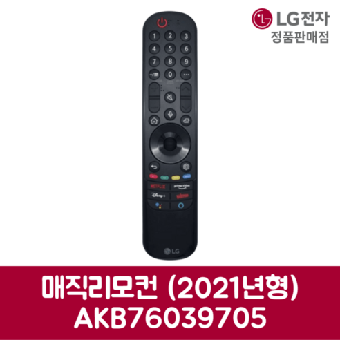 LG전자 엘지 정품 TV 매직리모컨 2021년형 AKB76039705, 기본선택